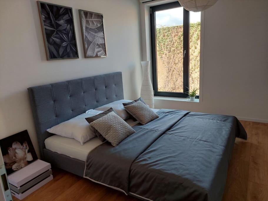 Apartment Kmetova So Sukromnym Parkovanim Zdarma, 5 Min Peso Do Centra Kosice